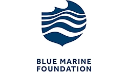 Blue Marine Foundation saves time and money with automatic reporting in Dynamics 365 Business Central | Microsoft Customer Stories